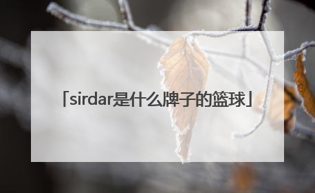 「sirdar是什么牌子的篮球」sirdar是什么牌子乒乓球拍